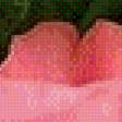 Preview of cross stitch pattern: #653324