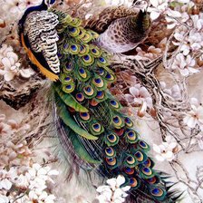 Cross stitch pattern: #653436