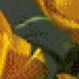 Preview of cross stitch pattern: #653469