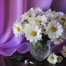 Cross stitch pattern: #653482