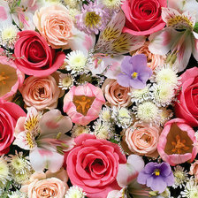 Cross stitch pattern: #653484