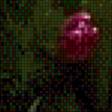 Preview of cross stitch pattern: #653487