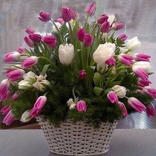 Cross stitch pattern: #653487