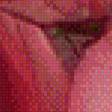 Preview of cross stitch pattern: #653488