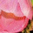 Preview of cross stitch pattern: #653494