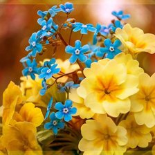 Cross stitch pattern: #653500