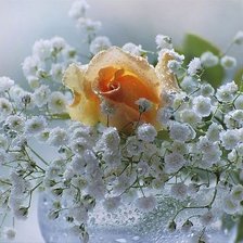 Cross stitch pattern: #653502