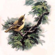 Cross stitch pattern: #653534