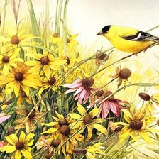 Cross stitch pattern: #654152