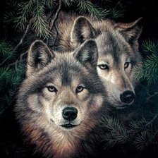 Cross stitch pattern: #654612