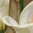 Preview of cross stitch pattern: #654729