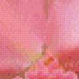 Preview of cross stitch pattern: #655462