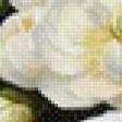 Preview of cross stitch pattern: #656368