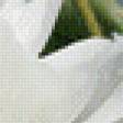 Preview of cross stitch pattern: #657631