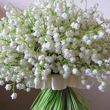 Cross stitch pattern: #657635