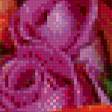 Preview of cross stitch pattern: #657637
