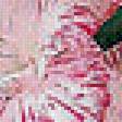 Preview of cross stitch pattern: #657640