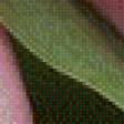 Preview of cross stitch pattern: #657647