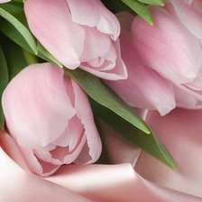 Cross stitch pattern: #657647