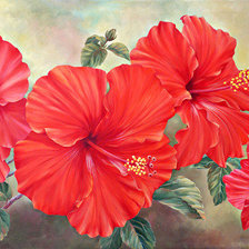 Cross stitch pattern: #657709