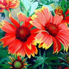 Cross stitch pattern: #657712