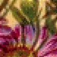 Preview of cross stitch pattern: #657722