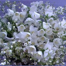 Cross stitch pattern: #657724