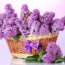 Cross stitch pattern: #658054