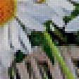Preview of cross stitch pattern: #659641