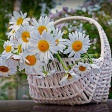 Cross stitch pattern: #659641