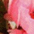 Preview of cross stitch pattern: #659644