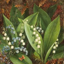 Cross stitch pattern: #659746