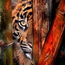 Cross stitch pattern: #660472