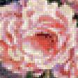 Preview of cross stitch pattern: #664314