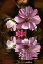 Cross stitch pattern: #664486