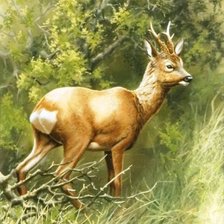Cross stitch pattern: #664759