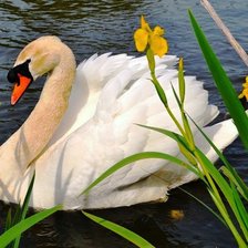 Cross stitch pattern: #665721