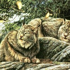Cross stitch pattern: #665739