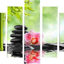 Cross stitch pattern: #666041