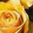 Preview of cross stitch pattern: #666058