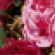 Preview of cross stitch pattern: #666553