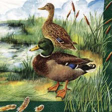 Cross stitch pattern: #667023