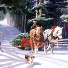 Cross stitch pattern: #667052