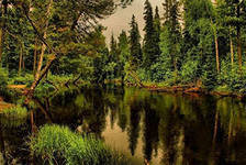 Cross stitch pattern: #667283