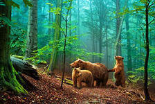 Cross stitch pattern: #667284