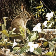 Cross stitch pattern: #668443