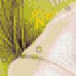 Preview of cross stitch pattern: #669355
