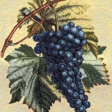 Cross stitch pattern: #669398