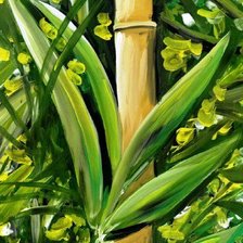 Cross stitch pattern: #669426