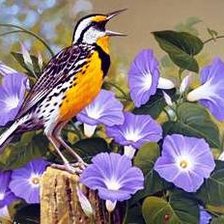 Cross stitch pattern: #670555